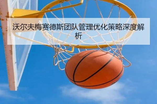 沃尔夫梅赛德斯团队管理优化策略深度解析